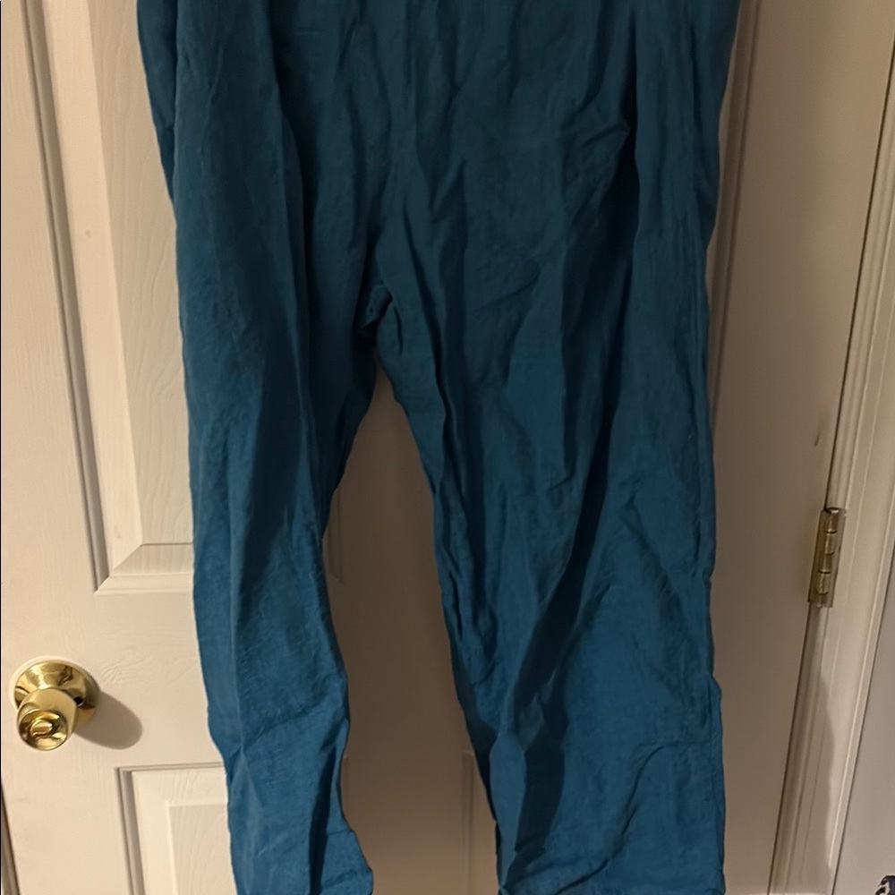 Flax Teal Relaxed Pants - Picture 3 of 4